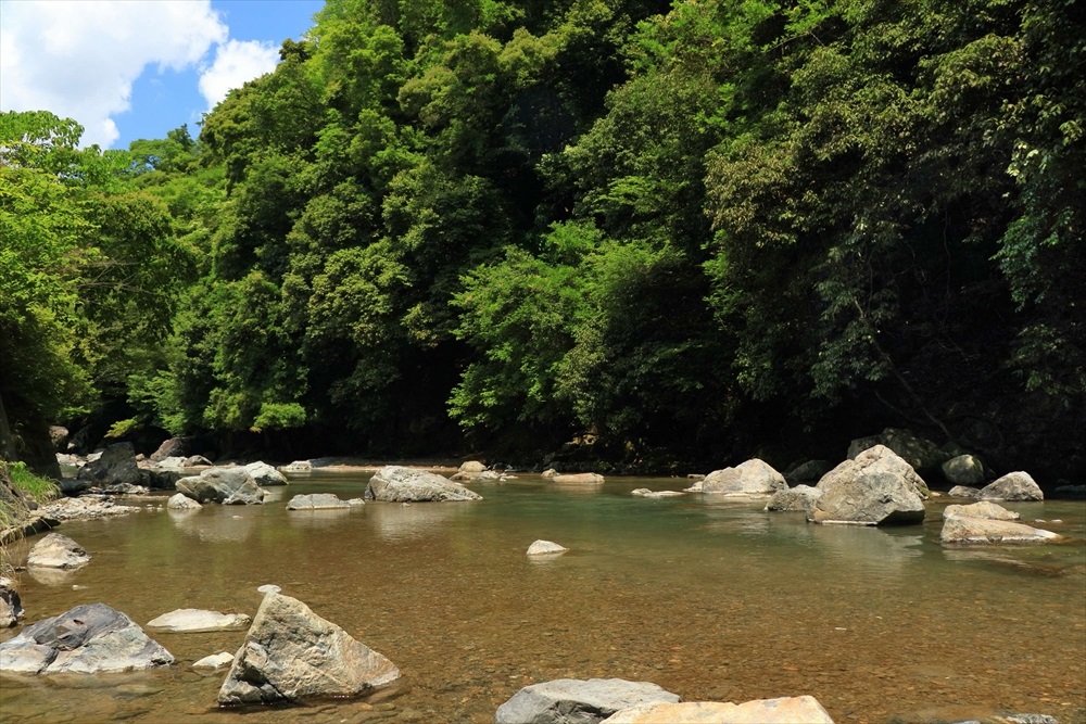 竜仙峡＋安威川上流漁業協同組合
